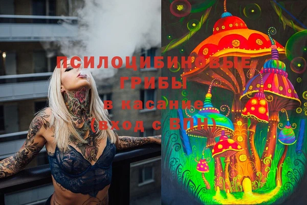 круглые Козельск
