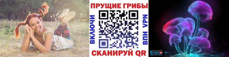 Псилоцибиновые грибы мицелий  Купить  Каменск-Шахтинский 