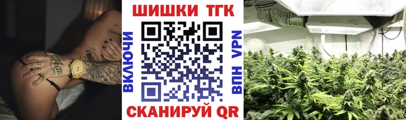 Купить закладки  Каменск-Шахтинский  Канабис конопля 